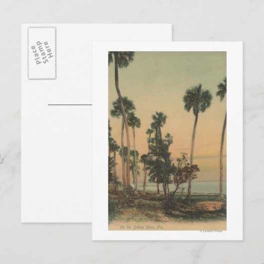 Shoreline uitzicht van de Indiase rivier met palmb Briefkaart (Voorkant / Achterkant)