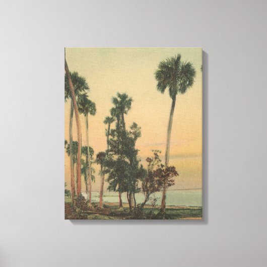 Shoreline uitzicht van de Indiase rivier met palmb Canvas Afdruk (Voorkant)