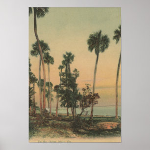 Shoreline uitzicht van de Indiase rivier met palmb Poster