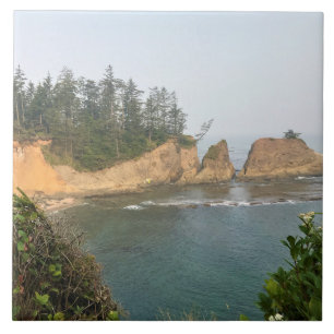 Shores Acres State Park, Oregon Coast Tegeltje
