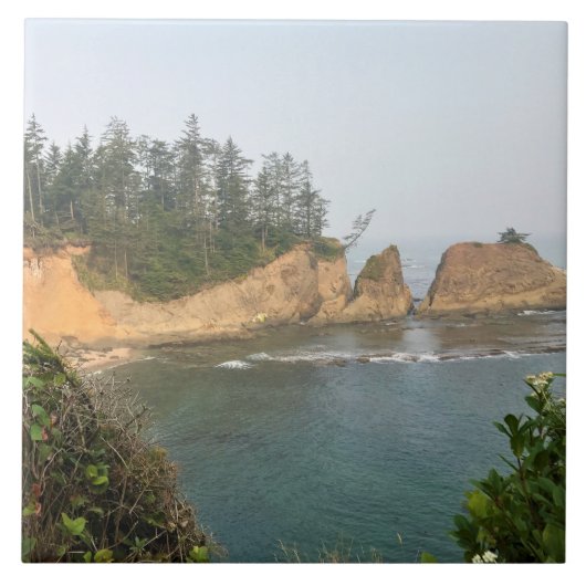 Shores Acres State Park, Oregon Coast Tegeltje (Voorkant)