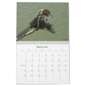 Shorevogels - 2010 kalender (Mar 2027)