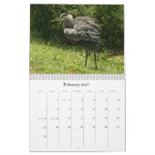 Shorevogels - 2010 kalender (Feb 2027)