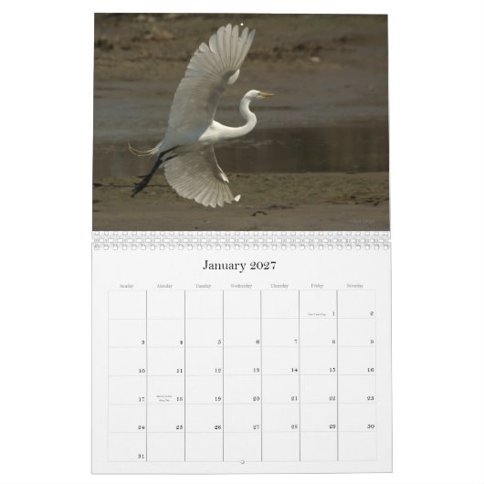 Shorevogels - 2010 kalender (Jan 2027)