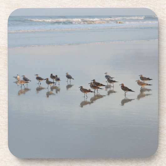 Shorevogels Bier Onderzetter (Voorkant)