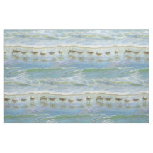 Shorevogels, een dag bij het strand