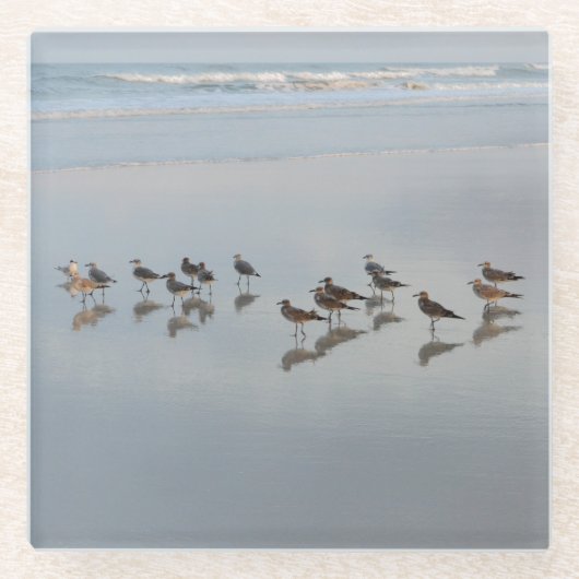 Shorevogels Glazen Onderzetter (Voorkant)