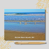 Shorevogels in het Surf! Hilton Head Island SC Briefkaart