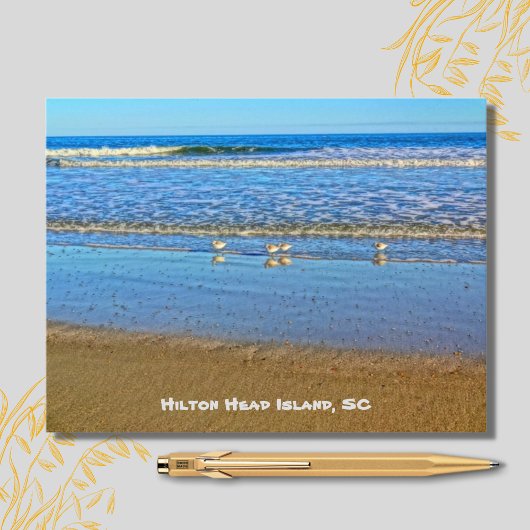 Shorevogels in het Surf! Hilton Head Island SC Briefkaart
