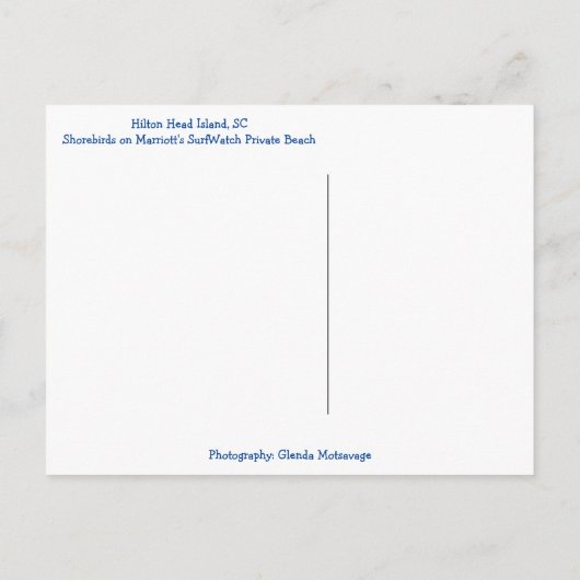 Shorevogels in het Surf! Hilton Head Island SC Briefkaart (Achterkant)
