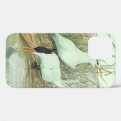  Shorevogels in Marsh door Louis Fuertes Case-Mate iPhone Case (Achterkant (horizontaal))