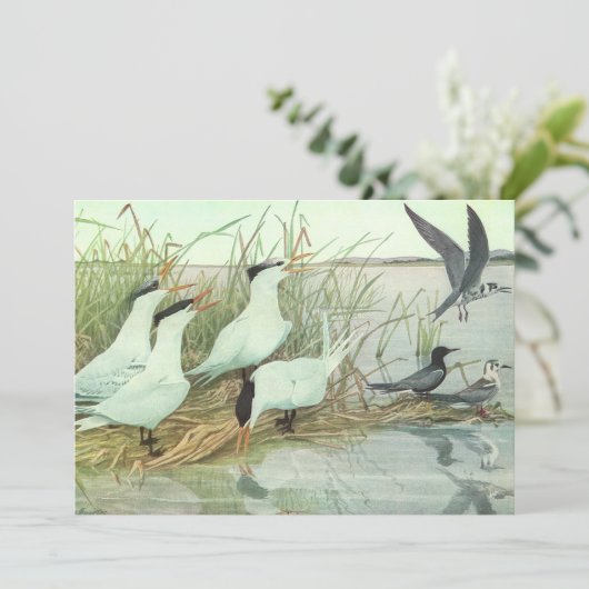  Shorevogels in Marsh door Louis Fuertes Kaart (Staand voorkant)