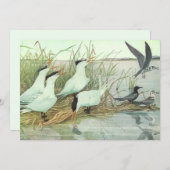  Shorevogels in Marsh door Louis Fuertes Kaart (Voorkant / Achterkant)