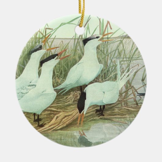  Shorevogels in Marsh door Louis Fuertes Keramisch Ornament (Voorkant)