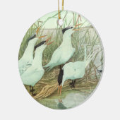  Shorevogels in Marsh door Louis Fuertes Keramisch Ornament (Links)
