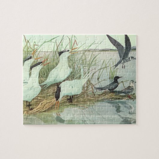  Shorevogels in Marsh door Louis Fuertes Legpuzzel (Horizontaal)