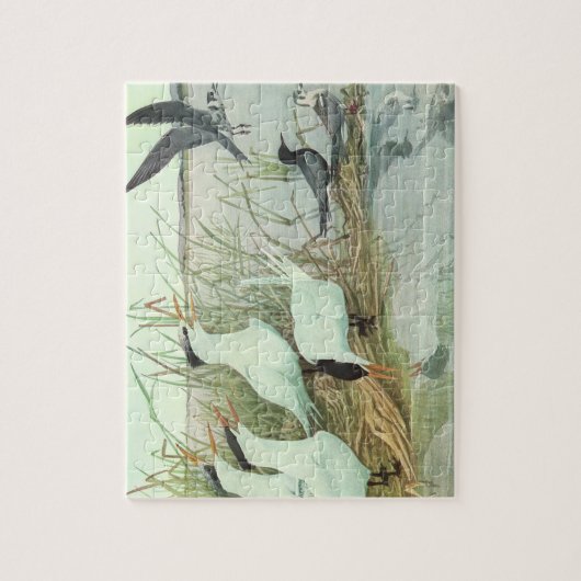Shorevogels in Marsh door Louis Fuertes Legpuzzel (Verticaal)