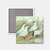 Shorevogels in Marsh door Louis Fuertes Magneet (Voorkant / Achterkant)