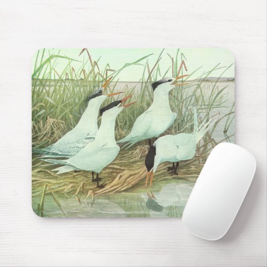 Shorevogels in Marsh door Louis Fuertes Muismat (Met muis)