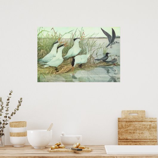  Shorevogels in Marsh door Louis Fuertes Poster (Keuken)