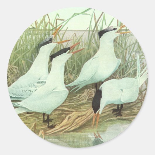 Shorevogels in Marsh door Louis Fuertes Ronde Sticker (Voorkant)