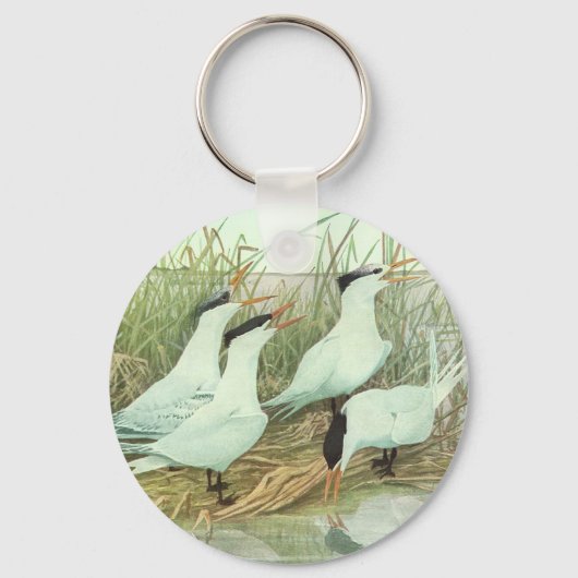  Shorevogels in Marsh door Louis Fuertes Sleutelhanger (Voorkant)