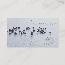 Shorevogels op een meer visitekaartje
