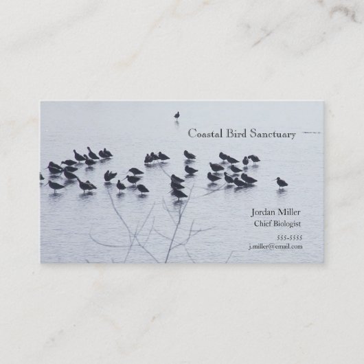 Shorevogels op een meer visitekaartje (Voorkant)