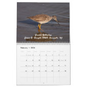 Shorevogels van New Jersey Kalender (Feb 2026)