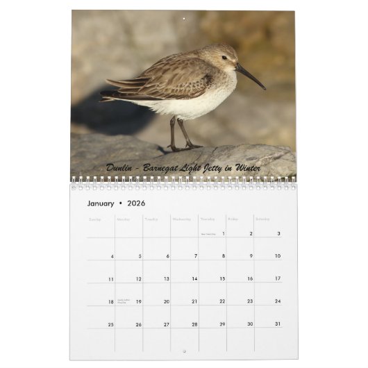 Shorevogels van New Jersey Kalender (Jan 2026)
