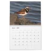 Shorevogels van New Jersey Kalender (Mar 2027)