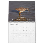 Shorevogels van New Jersey Kalender (Feb 2027)