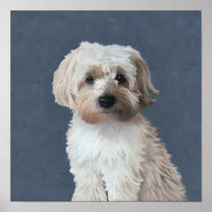 Shorkie hond huisdier portret poster