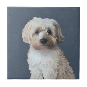 Shorkie hond huisdier portret tegeltje