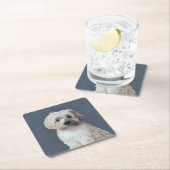 Shorkie-hondenportret Kartonnen Onderzetters (Insitu)