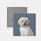 Shorkie-hondenportret Magneet (Voorkant / Achterkant)