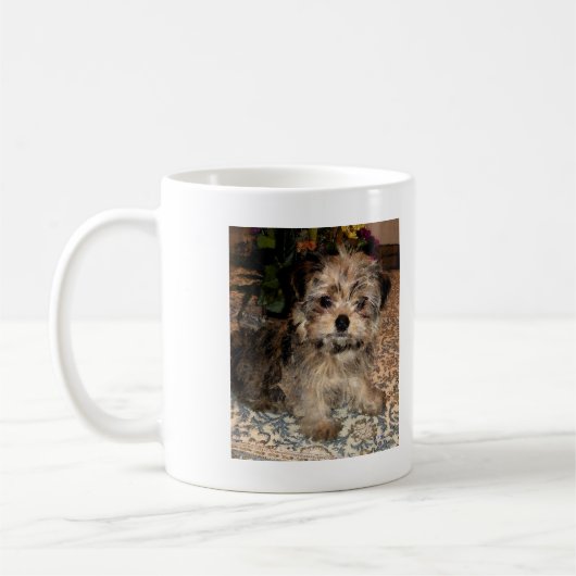 Shorkie Puppy Koffiemok (Links)