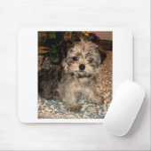 Shorkie Puppy Muismat (Met muis)