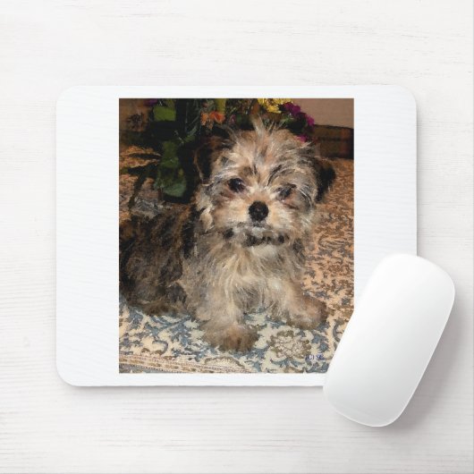 Shorkie Puppy Muismat (Met muis)