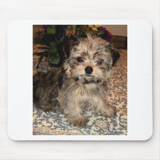 Shorkie Puppy Muismat (Voorkant)