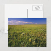 Short Grass Prairie in het verre noordoosten Briefkaart (Voorkant / Achterkant)