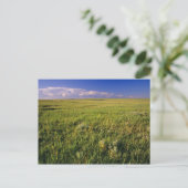 Short Grass Prairie in het verre noordoosten Briefkaart (Staand voorkant)