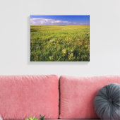 Short Grass Prairie in het verre noordoosten Canvas Afdruk (Insitu (Woonkamer))