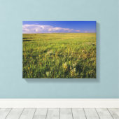 Short Grass Prairie in het verre noordoosten Canvas Afdruk (Insitu (Houten vloer))