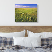 Short Grass Prairie in het verre noordoosten Canvas Afdruk (Insitu (Slaapkamer))
