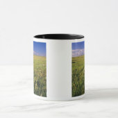 Short Grass Prairie in het verre noordoosten Mok (Midden)