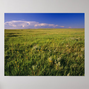 Short Grass Prairie in het verre noordoosten Poster