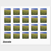 Short Grass Prairie in het verre noordoosten Vierkante Sticker (Vel)