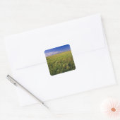Short Grass Prairie in het verre noordoosten Vierkante Sticker (Envelop)