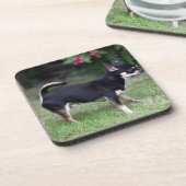 Short Hazard Chihuahua Standing Bier Onderzetter (Linkerzijde)